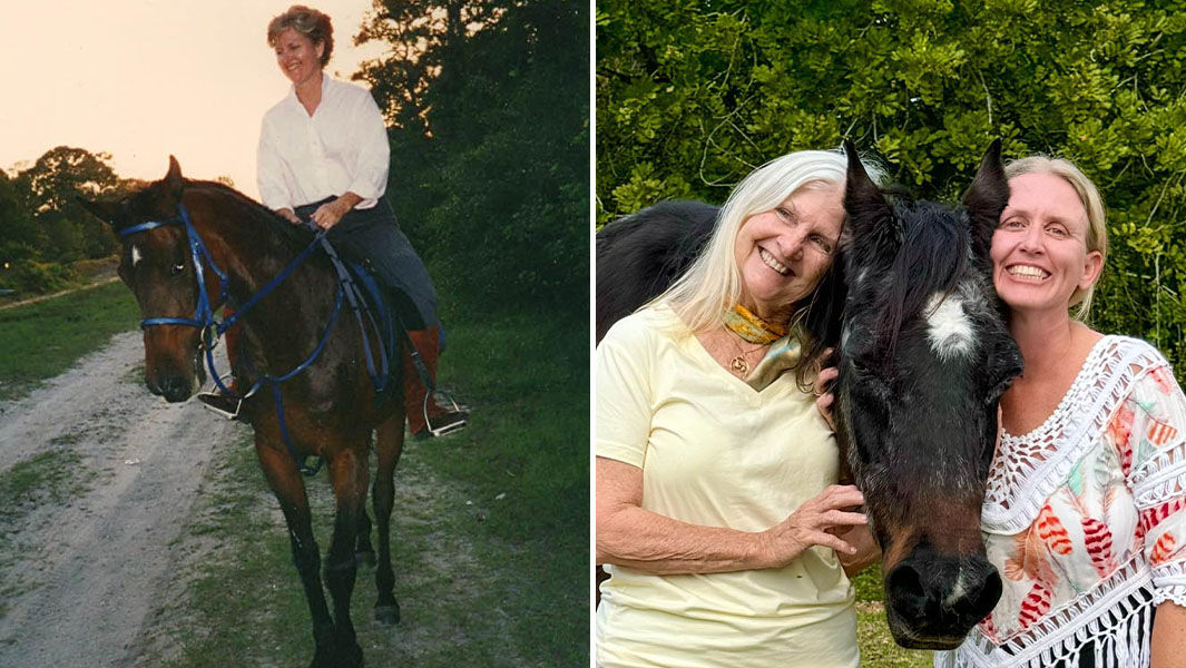 عنوان فرعي منفصل للحصان الأكبر سنًا موكي في عام 1992 و2025