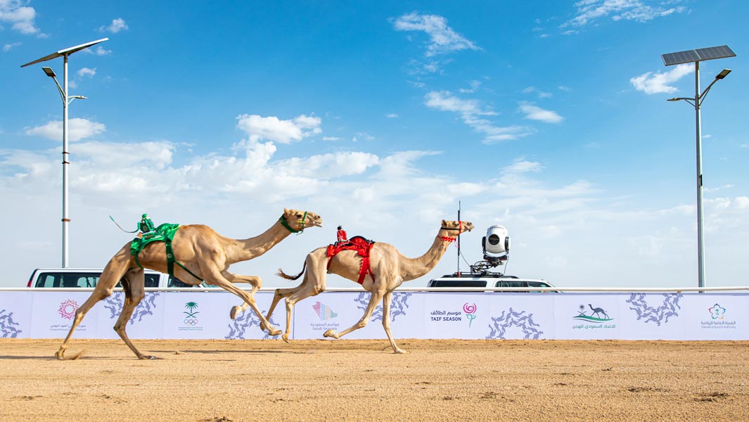 Camel header