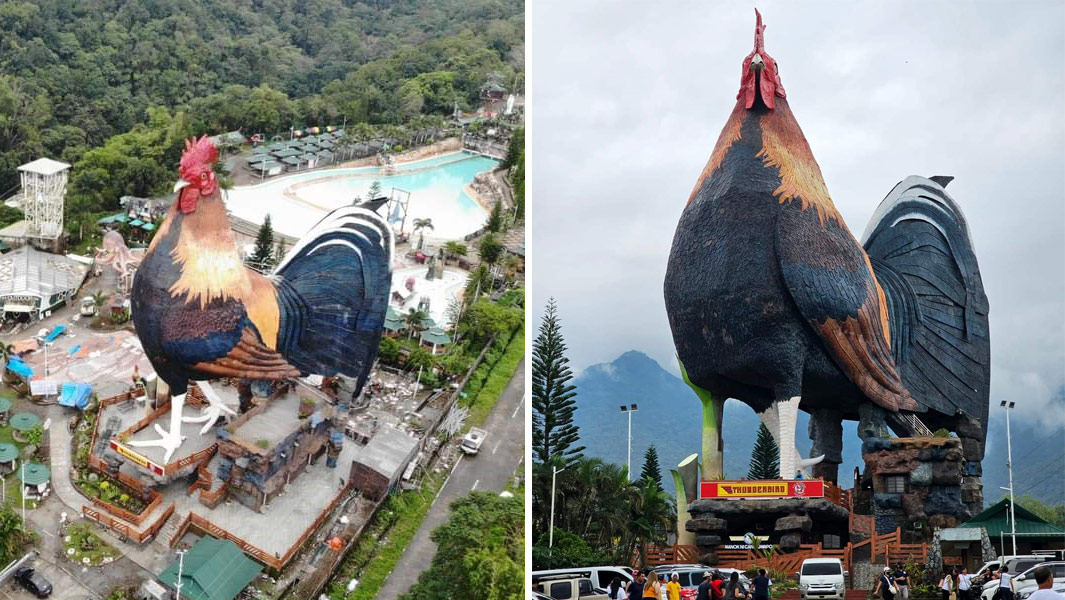 صورة مجمعة لأكبر مبنى على شكل دجاجة