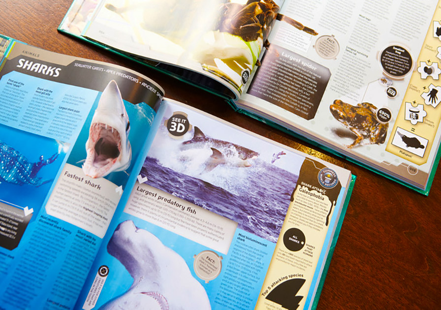 book with picture of shark